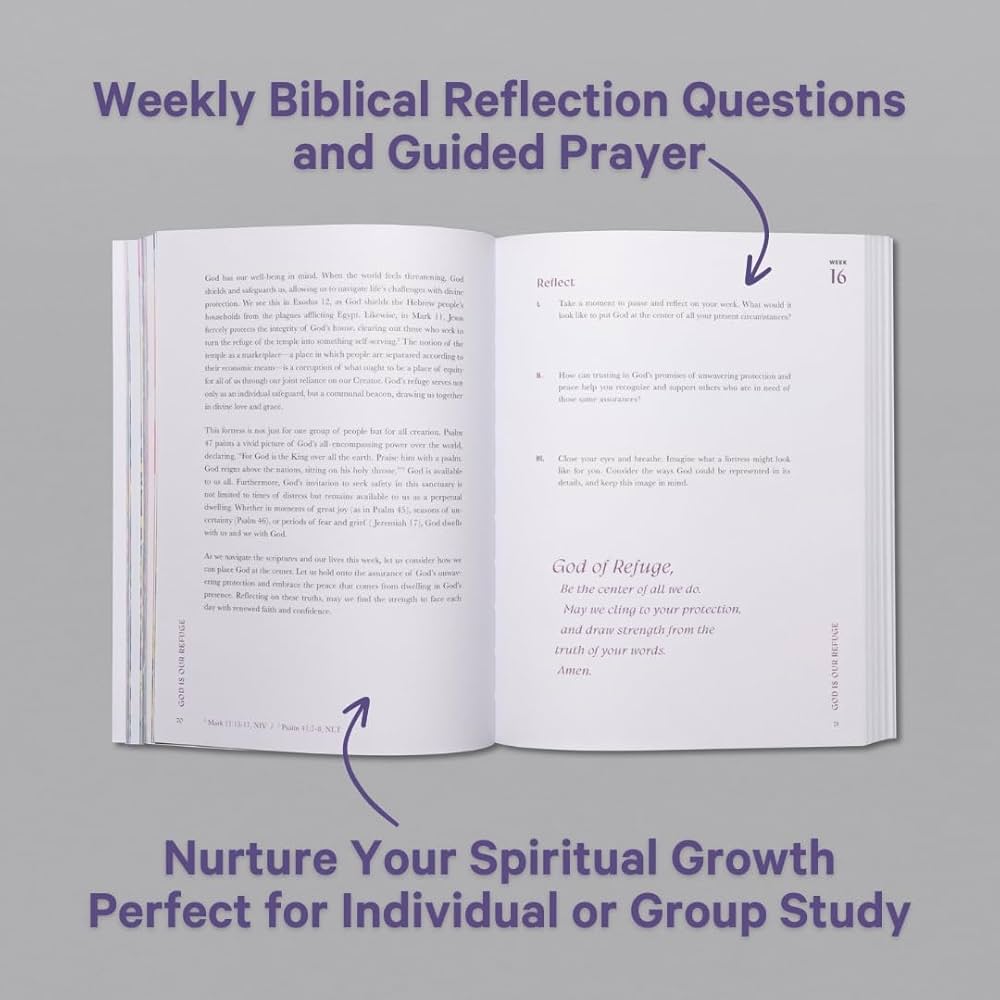 The Faithscape Bible Guide