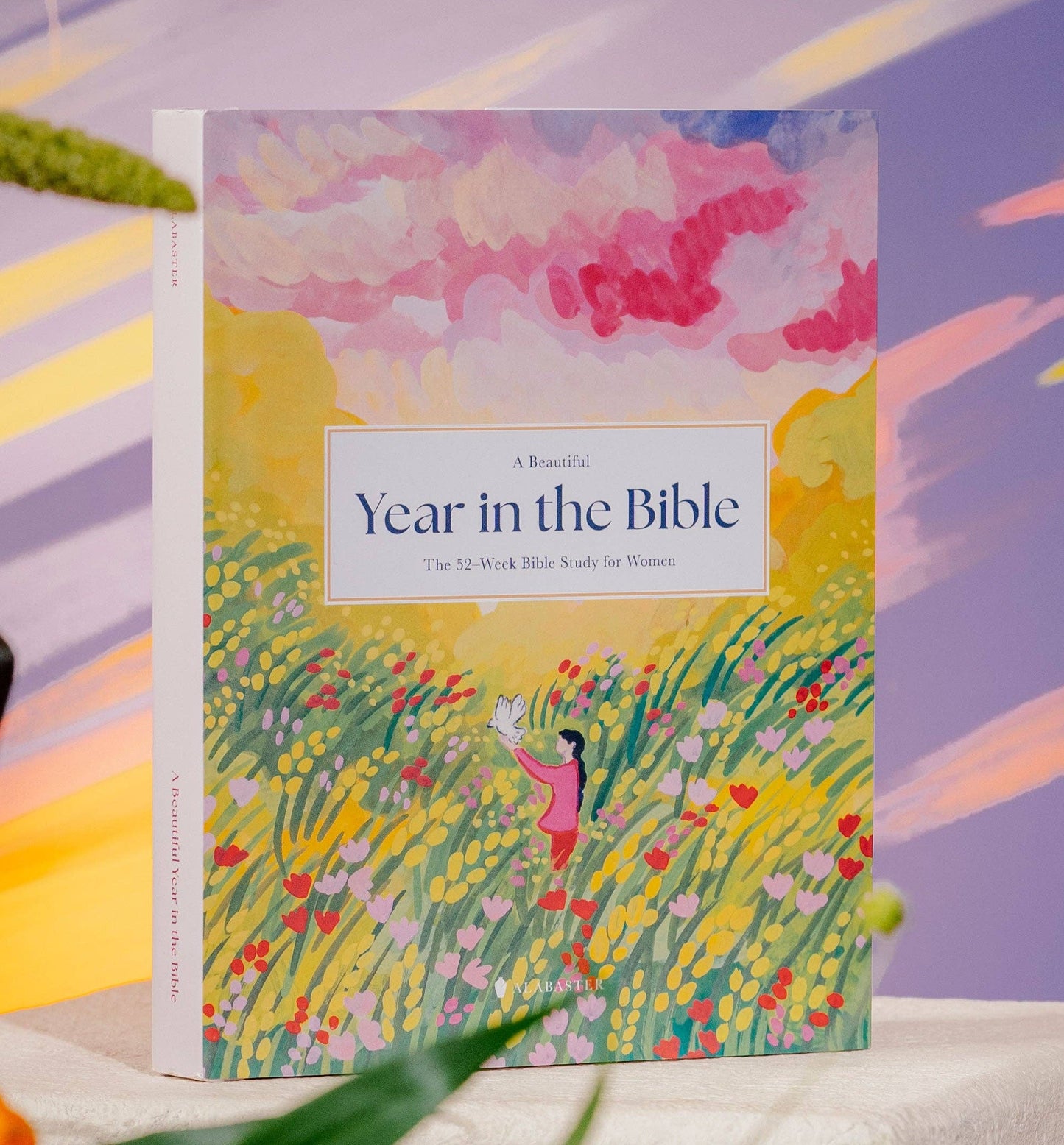 The Faithscape Bible Guide